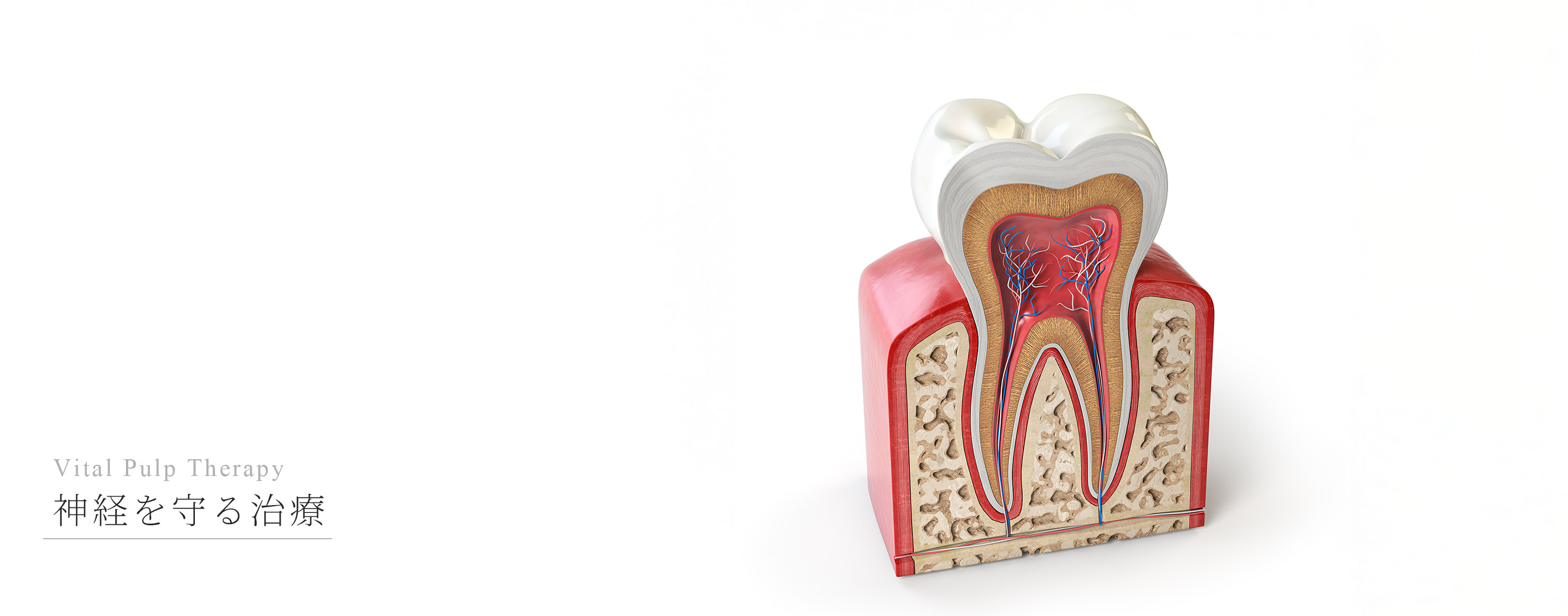 キービジュアル